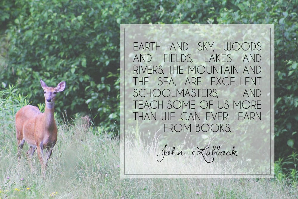 Earth and sky, woods and fields, lakes and rivers, the mountain and the sea, are excellent schoolmasters, and teach some of us more than we can ever learn from books. John Lubbock #quote