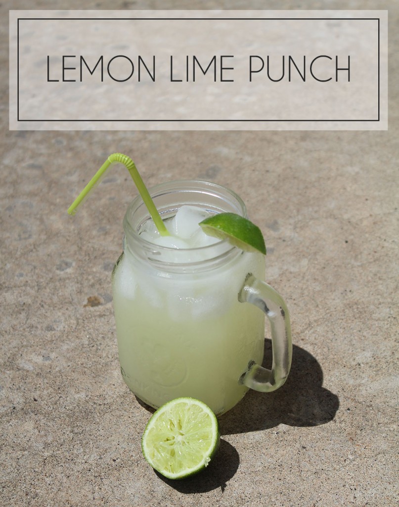 Lemon Lime Punch Recipe