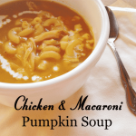 Chicken and Macaroni Pumpkin Soup