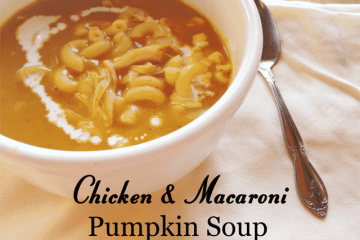 Chicken and Macaroni Pumpkin Soup