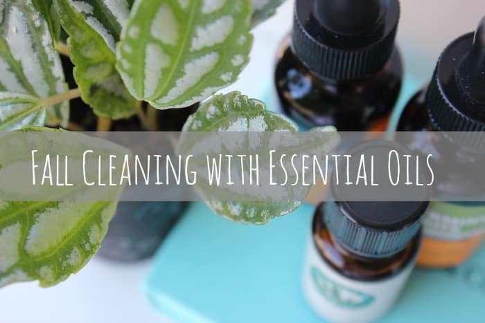 fall cleaning with essential oils