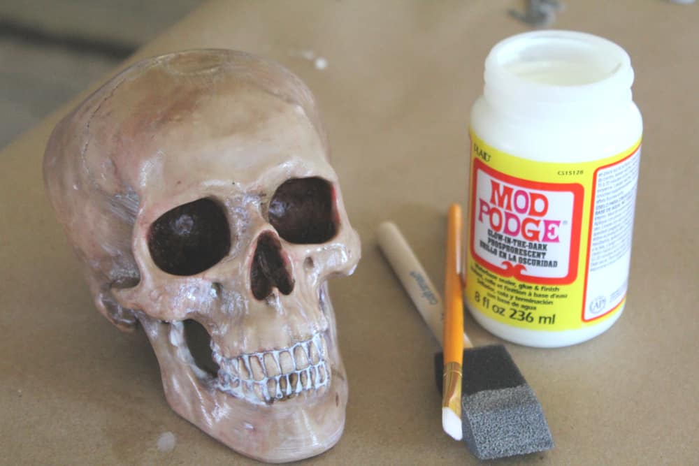 Step 6 - Finished Painted Skull