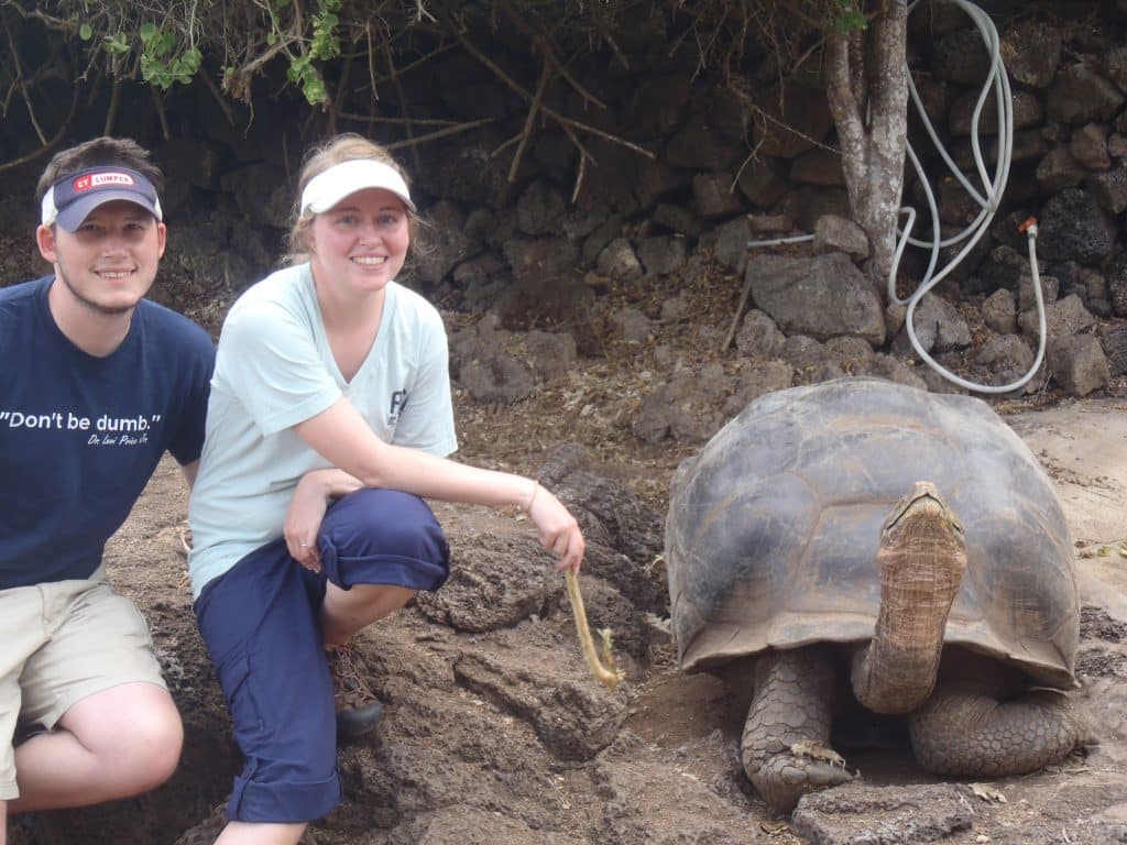 Galapagos Island Land Tortoise 