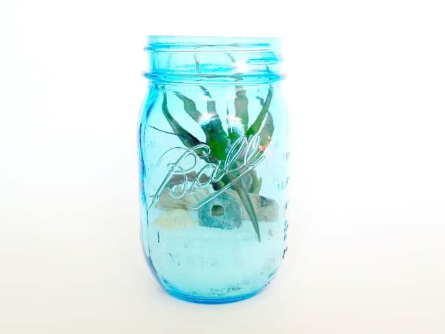 Beach themed terrarium ideas. Blue glass open jar terrarium with sand, shells, and air plants.
