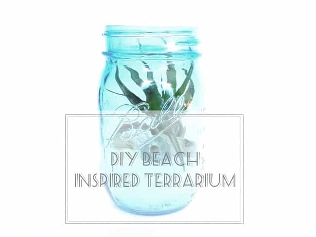 Easy DIY Terrariums with Gathered Sea Shells, Pebbles, Sea Glass