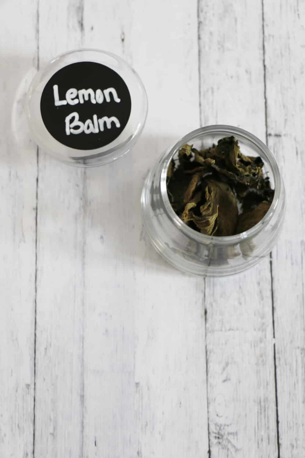 How To Dry Herbs - Lemon Balm