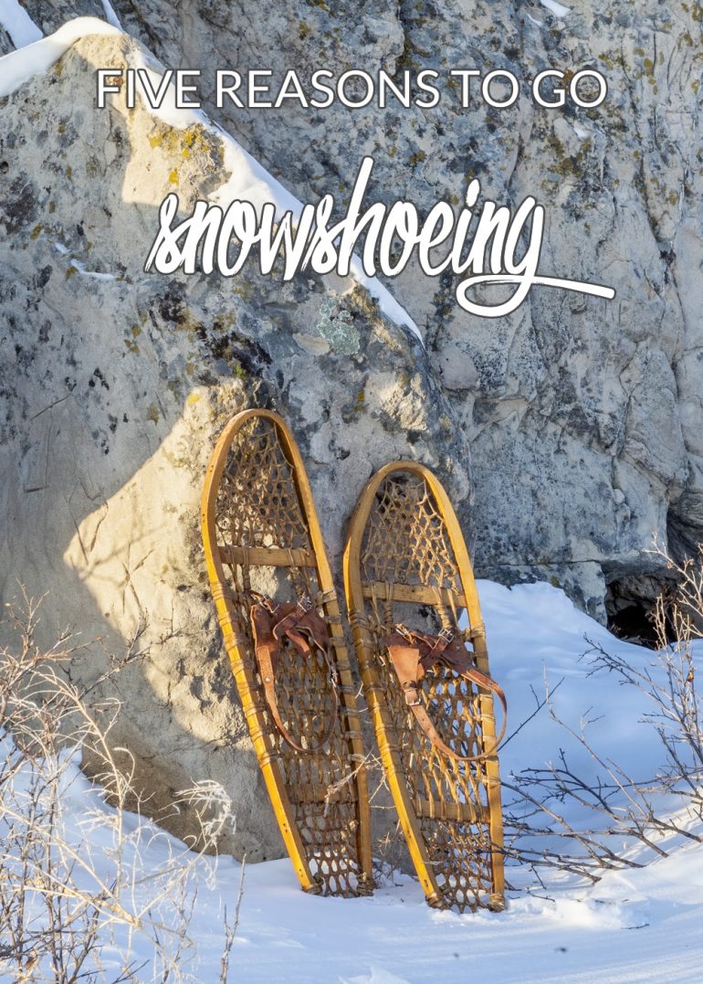 Five Reasons to Go Snowshoeing Bird's Eye Meeple