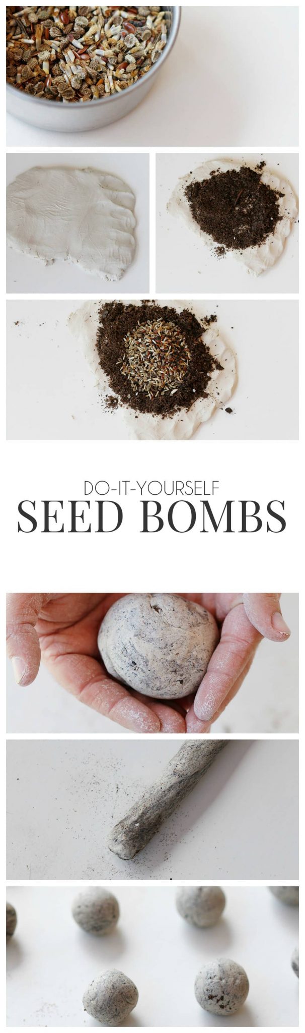 homemade seed bomb diy