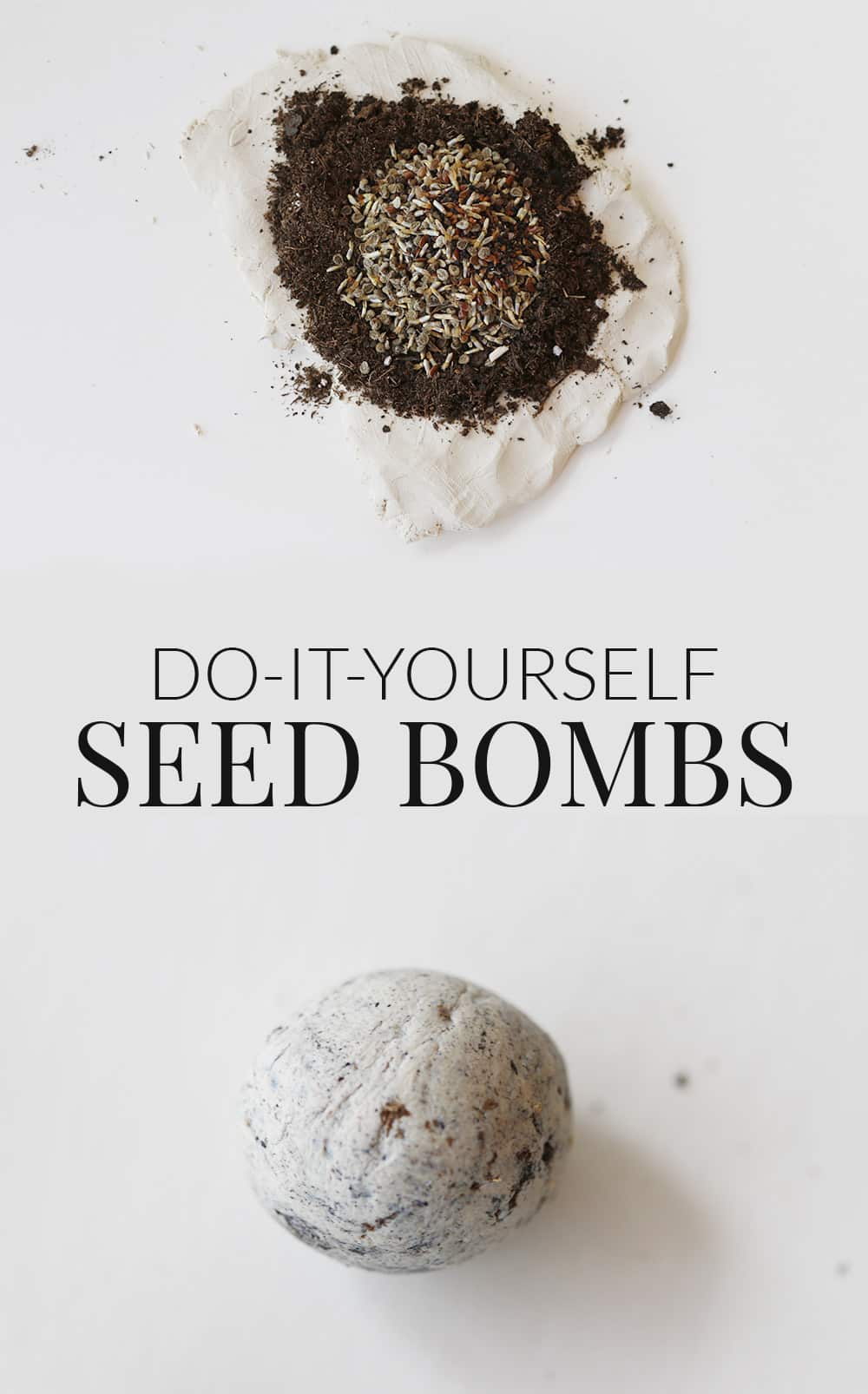 homemade seed bombs