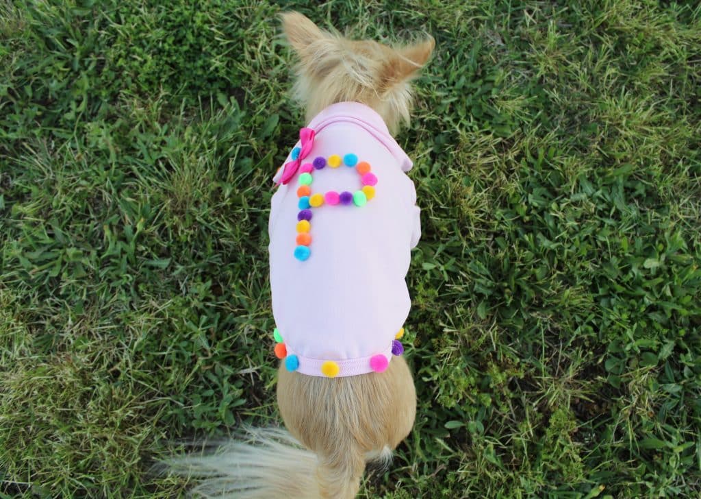 DIY Dog Shirt by Drool of Happiness