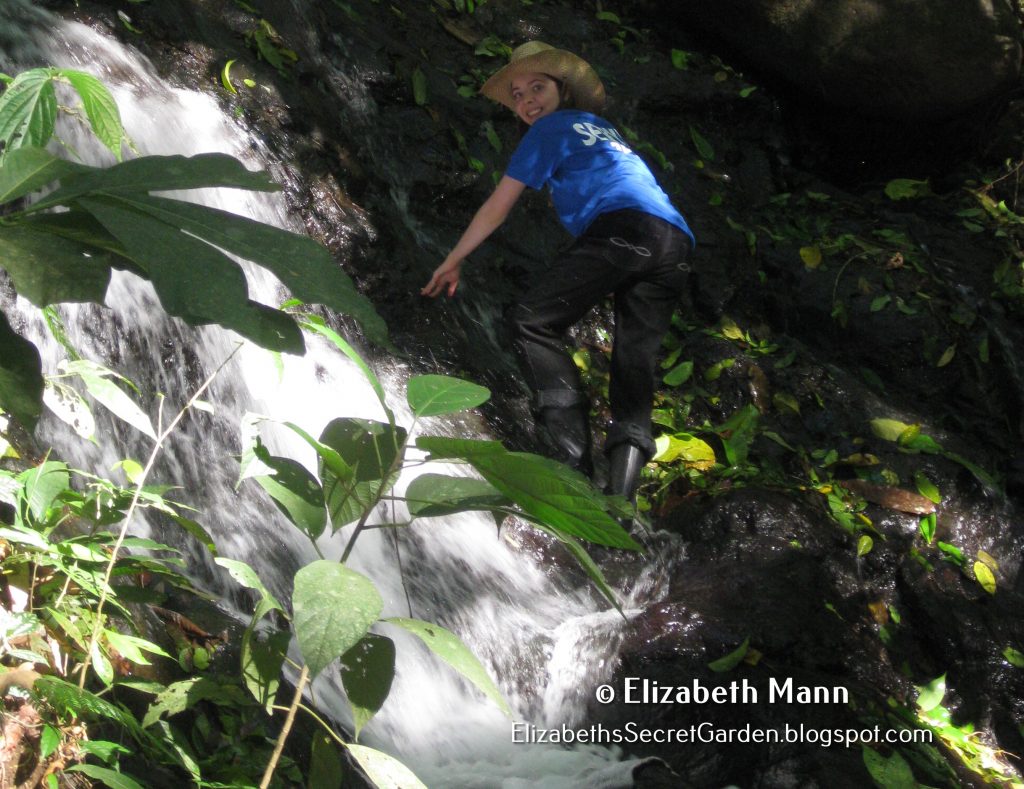 Sustainable Living in Costa Rica