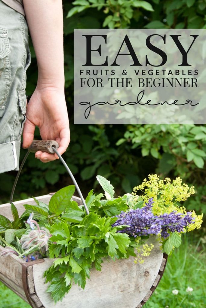 Easy-Fruits-and-Vegetables-for-the-Beginner-Gardener