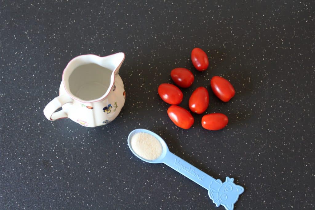 Ingredients for Easy Tomato Ice Cube Treat for Dogs