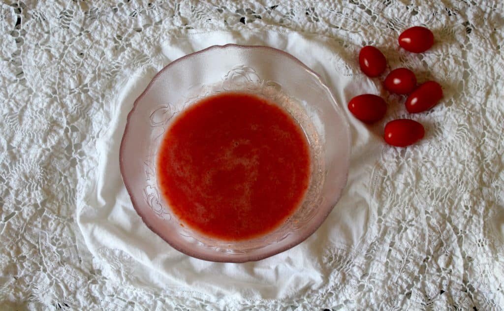 Easy Tomato Ice Cube Treat for Dogs