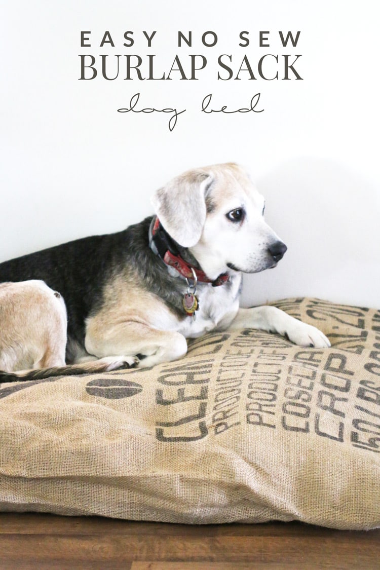 This Easy No Sew Burlap Sack Dog Bed is a quick project that's perfect for any pet lover! It's the perfect way to epicycle old t-shirts and blankets, too!