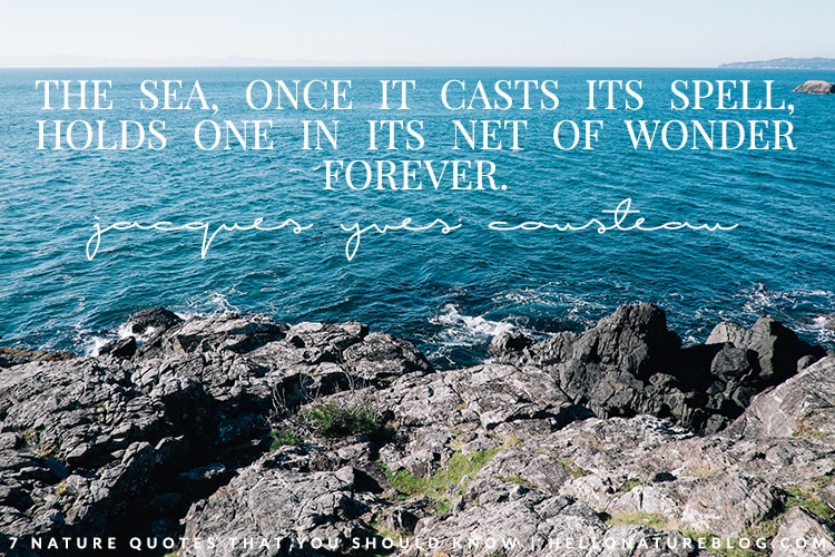 The sea, once it casts its spell, holds one in its net of wonder forever. 