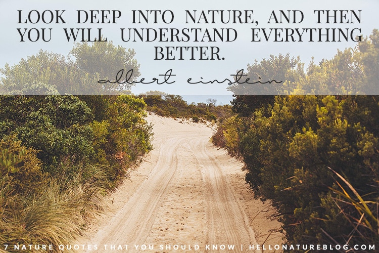 Look deep into nature, and then you will understand everything better.