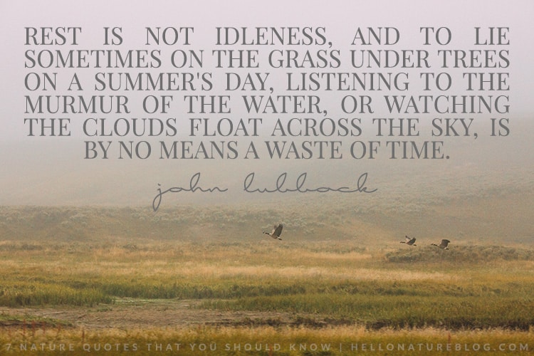 Rest is not idleness.