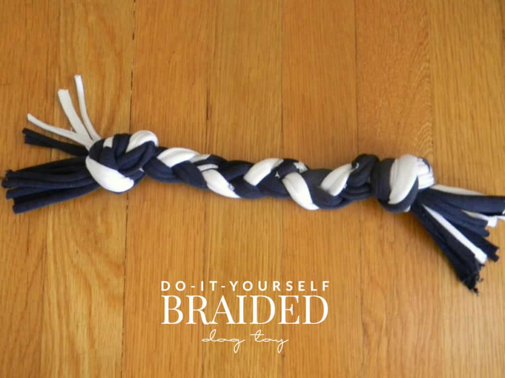 Braided dog outlet toy