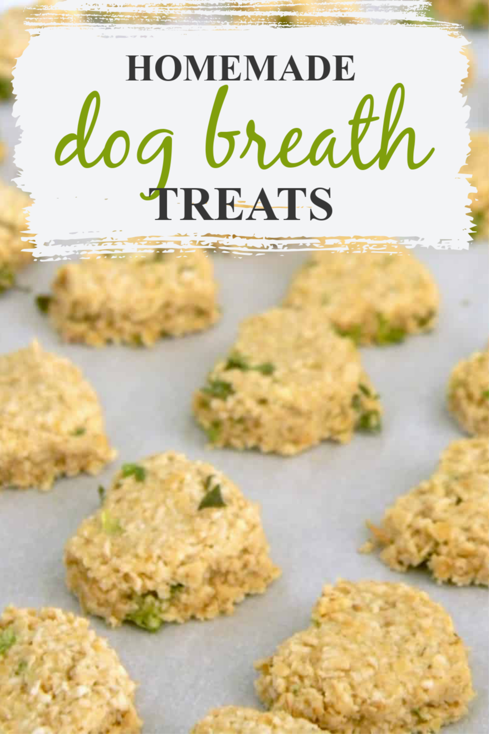 DIY Dog Breath Treats Bird's Eye Meeple
