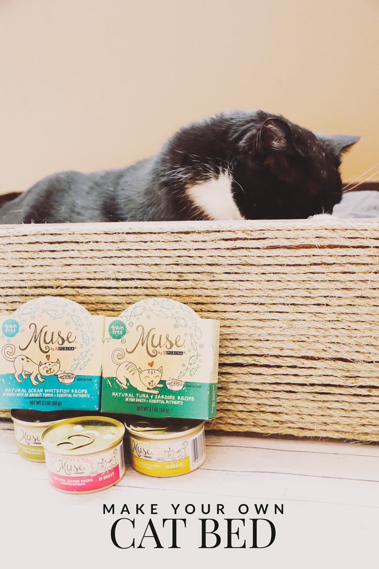 For less than $10, you can create this purrrfect DIY cat bed for your feline friend.