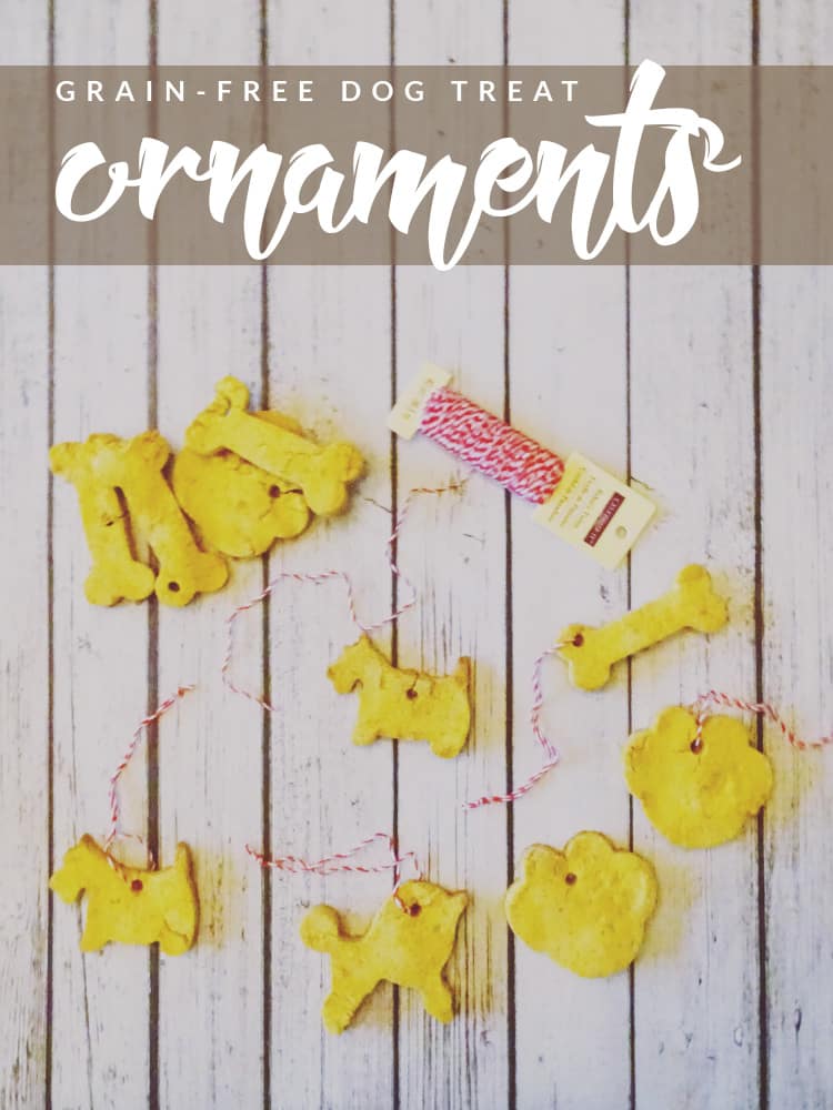 Want to make your dog a healthier alternative to typical treats? These DIY Grain-Free Dog Treat Ornaments are perfect for them and the holiday season!