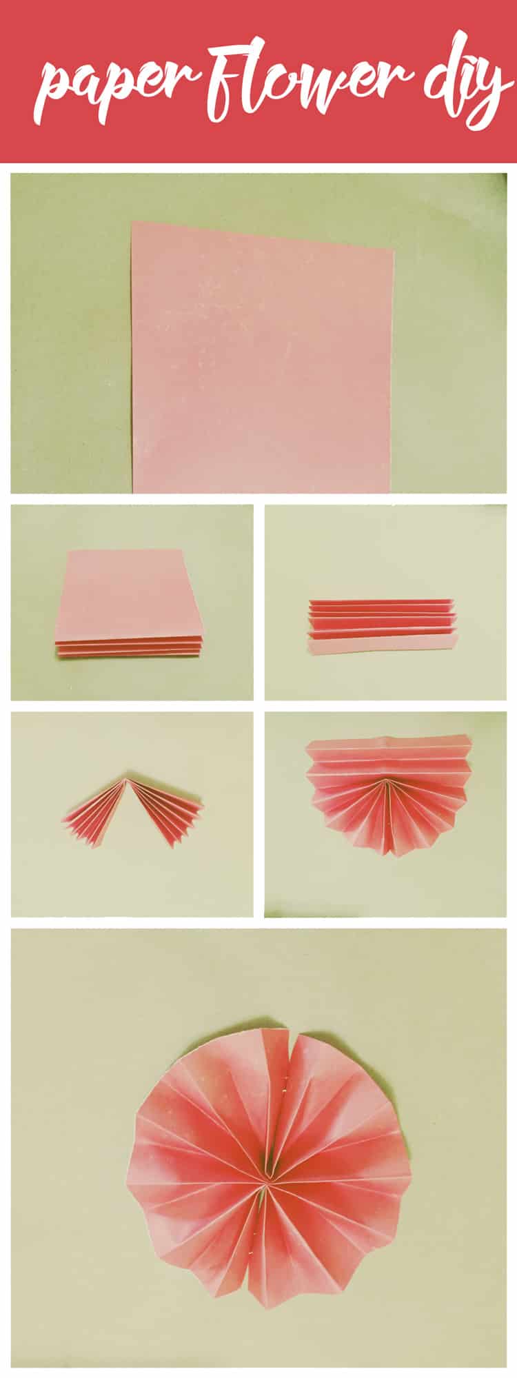 Paper Flower DIY