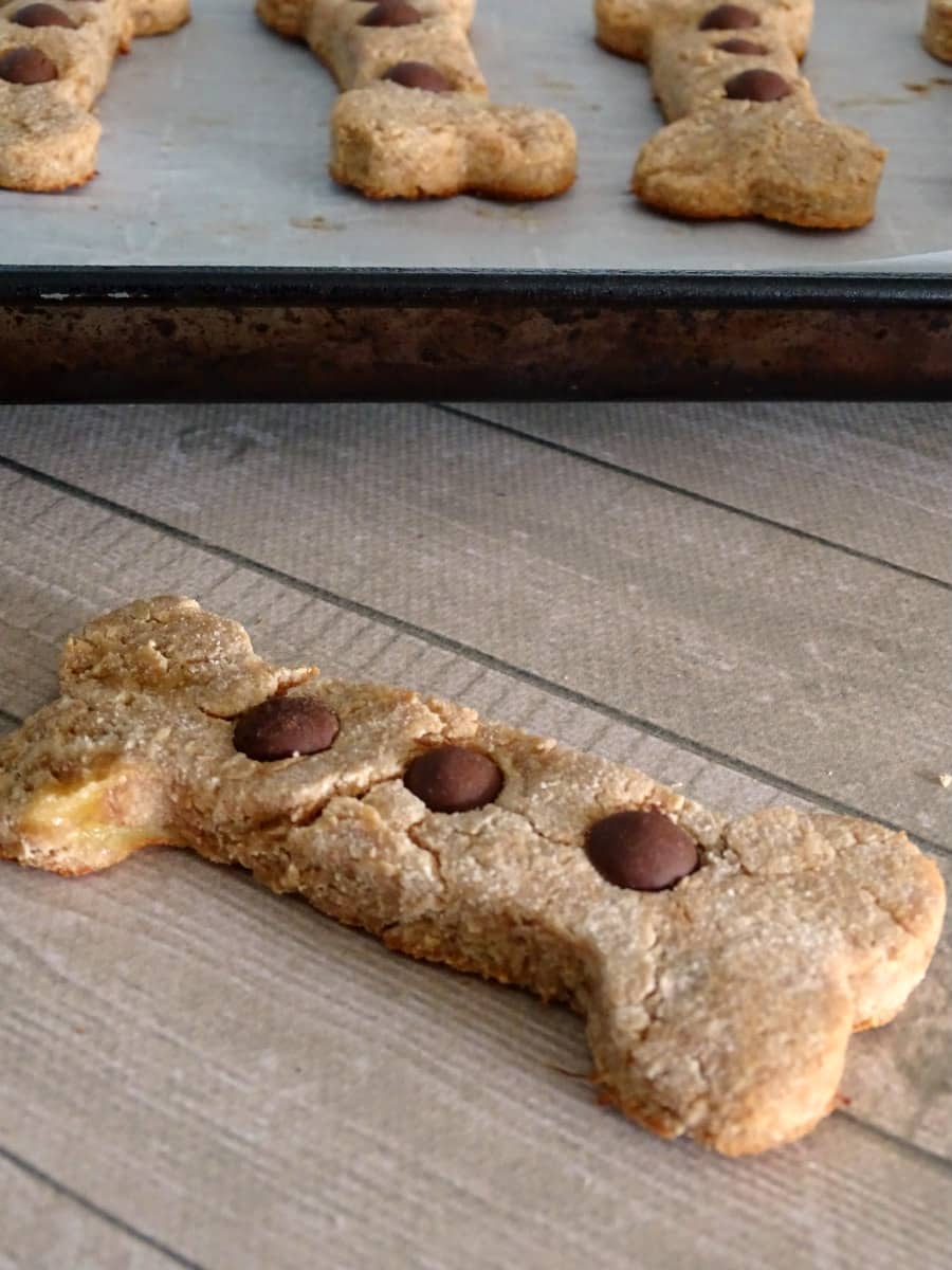 Need a new treat for your pup? Try these four ingredient peanut butter banana grain free dog treats! 