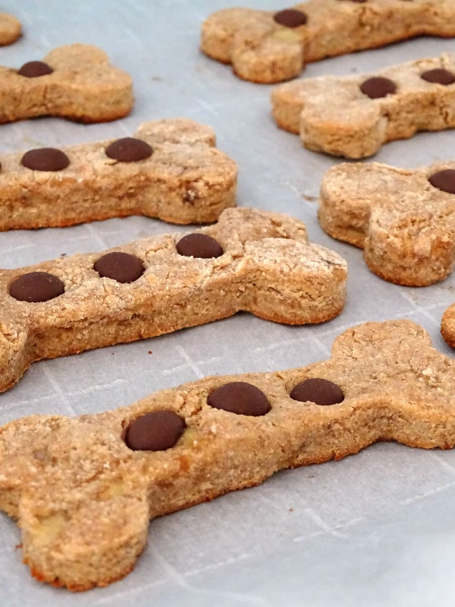 Grain free peanut 2025 butter dog treats recipe