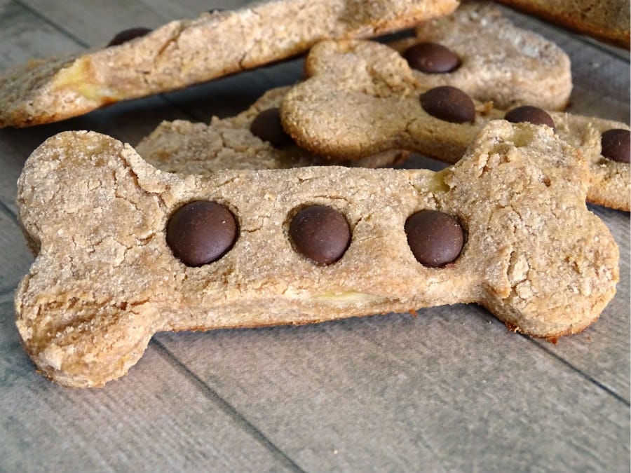 Need a new treat for your pup? Try these four ingredient peanut butter banana grain free dog treats! 