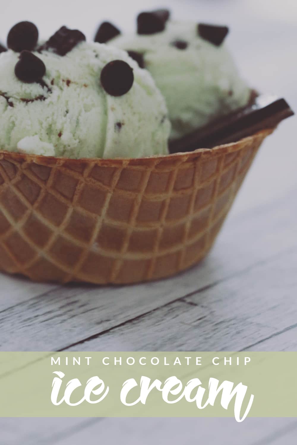 Mint Chocolate Chip Ice Cream just got better. This easy recipe is perfect to make at home and just the right amount of mint and chocolate!