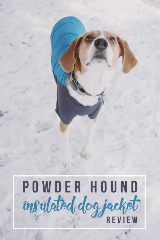 Ruffwear Review Powder Hound Insulated Dog Jacket Bird s Eye Meeple