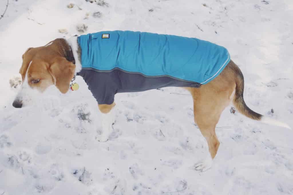 Ruffwear powder best sale hound winter jacket