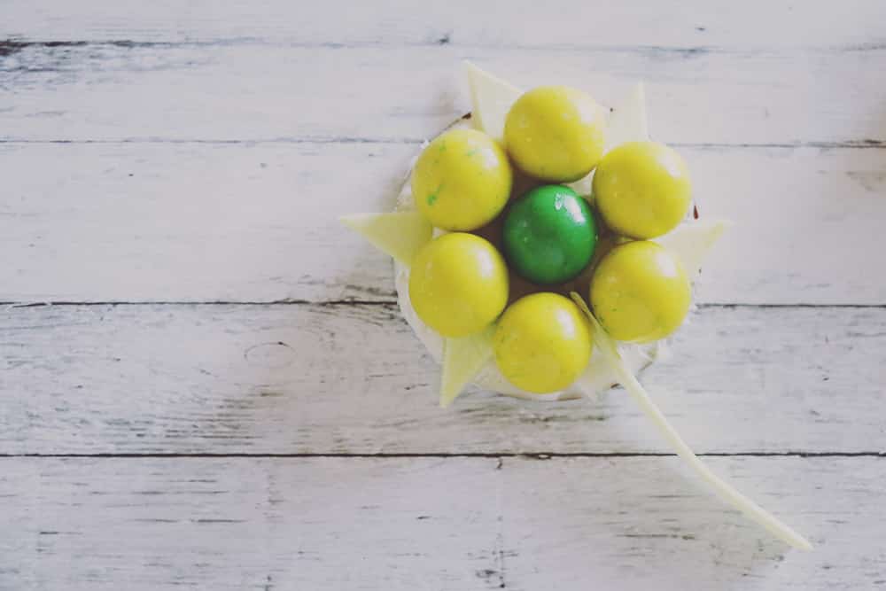 These super simple gumball flowers make the perfect Spring decor for your table! With their bright colors and sweet flavors, everyone will love them!