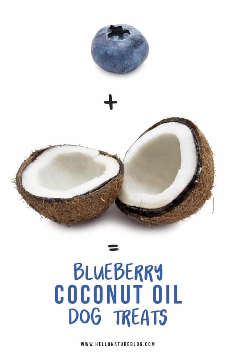 Frozen Blueberry Coconut Oil Dog Treats Bird's Eye Meeple