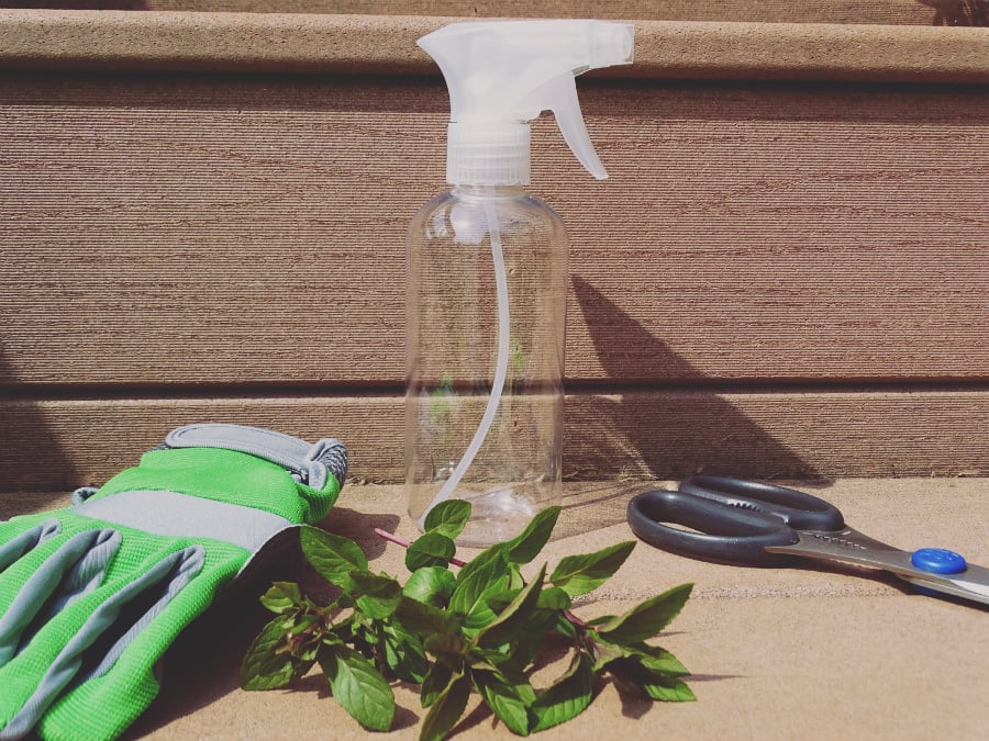 Rid your garden of unwanted pests in a natural way with this easy to make Herb and Essential Oil Pesticide DIY so you can enjoy your fresh veggies!