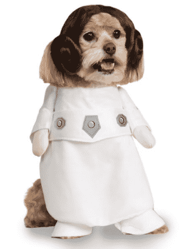 princess-leia-dog-costume