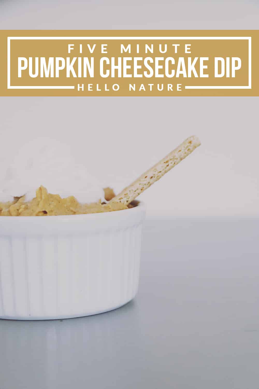 Bring something new to your autumn get-togethers! This pumpkin cheesecake dip is sure to be a huge hit for the whole family!