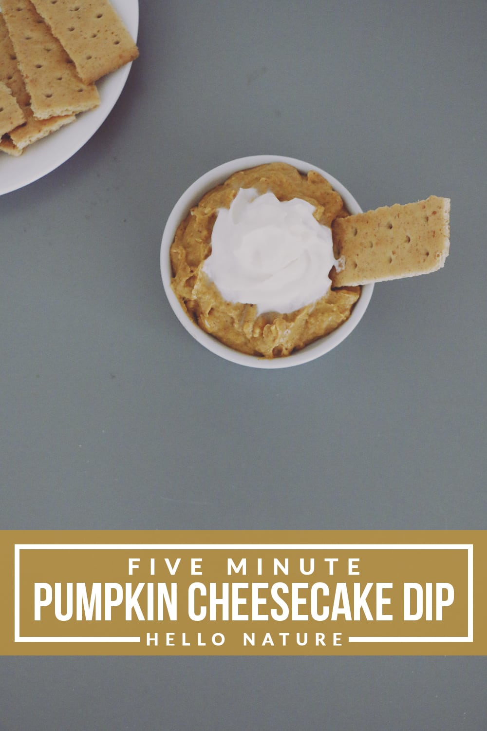 Bring something new to your autumn get-togethers! This pumpkin cheesecake dip is sure to be a huge hit for the whole family!