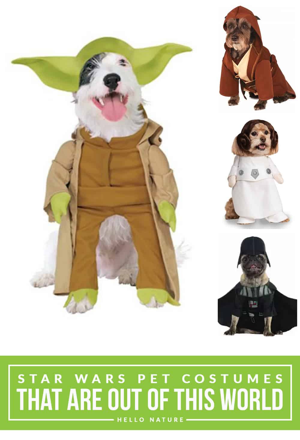 kohls dog costumes