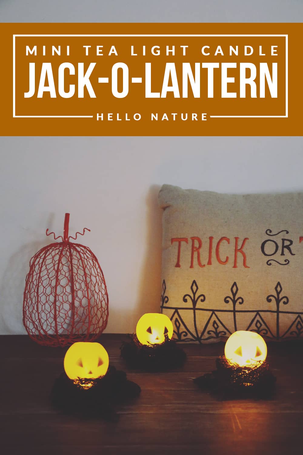 How To Make An Eyeball Pumpkin Jack-O-Lantern 