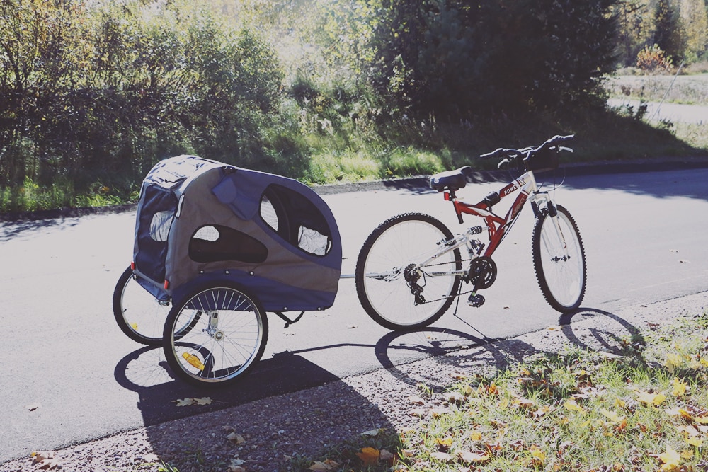 My review of the Solvit HoundAbout™ Pet Bicycle Trailer and how we're staying active with our dog.