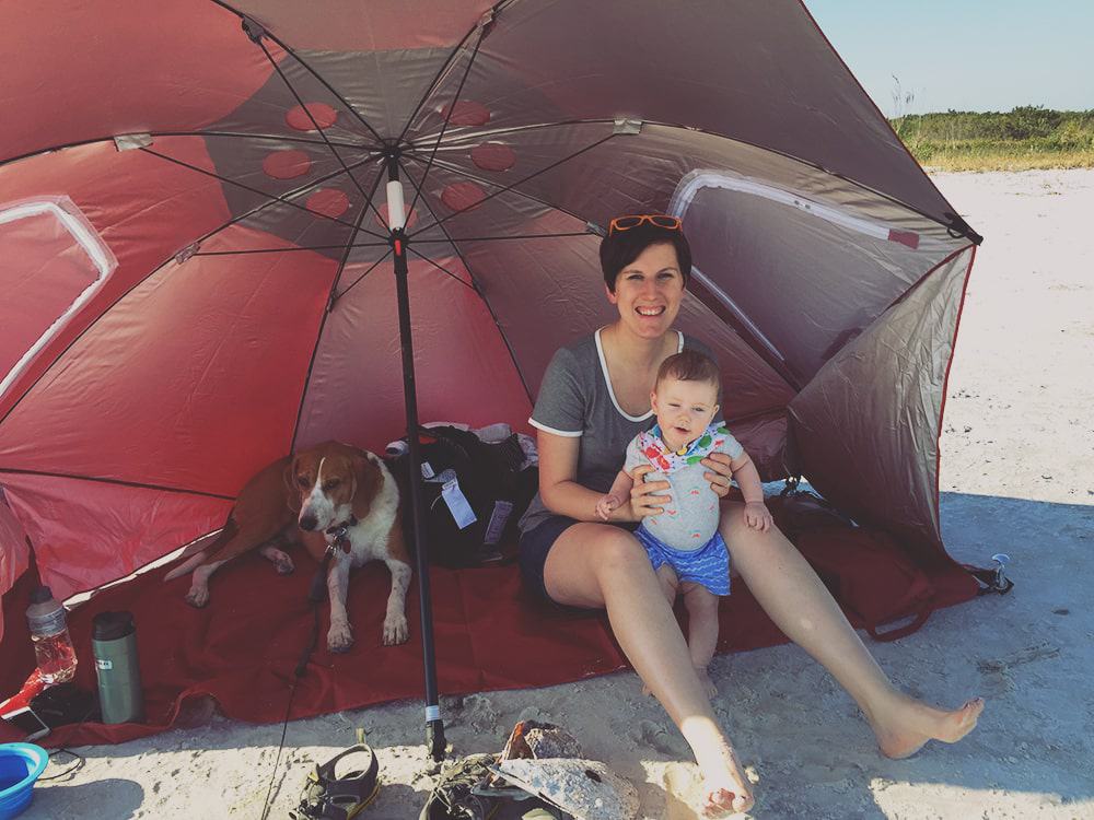 Honeymoon Island Dog Beach Tent Bird's Eye Meeple