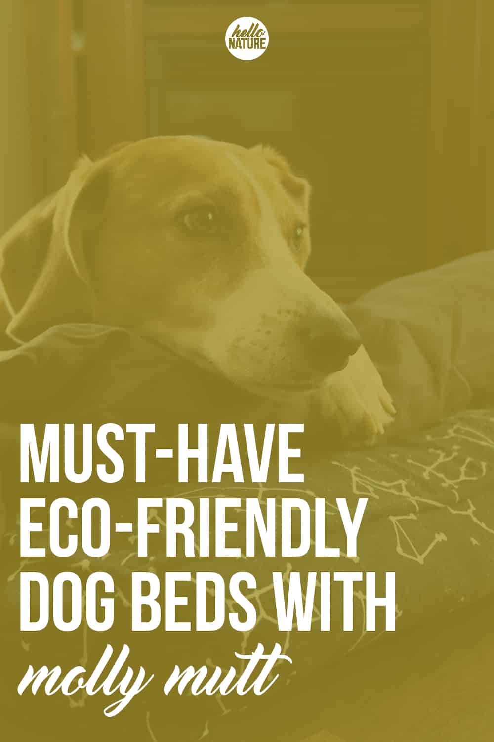 Looking to go green with your pooch? You need to check out Molly Mutt dog products. Your furry friends (and the environment) will thank you!