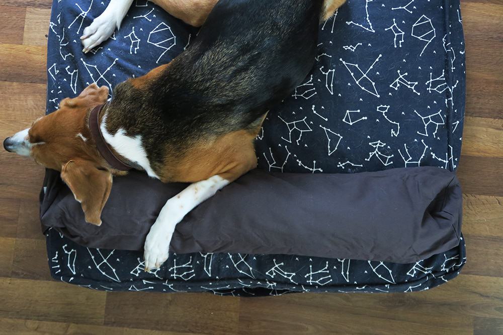 Mollymutt on sale pillow bed