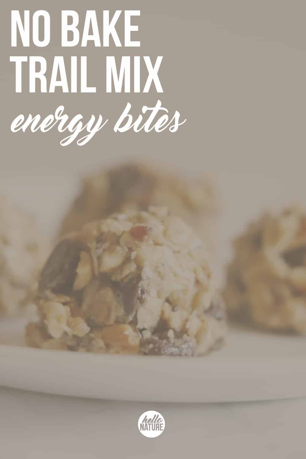 Need the perfect small snack to maintain your energy while you're on your adventures? You HAVE to try these No Bake Trail Mix Energy Bites!