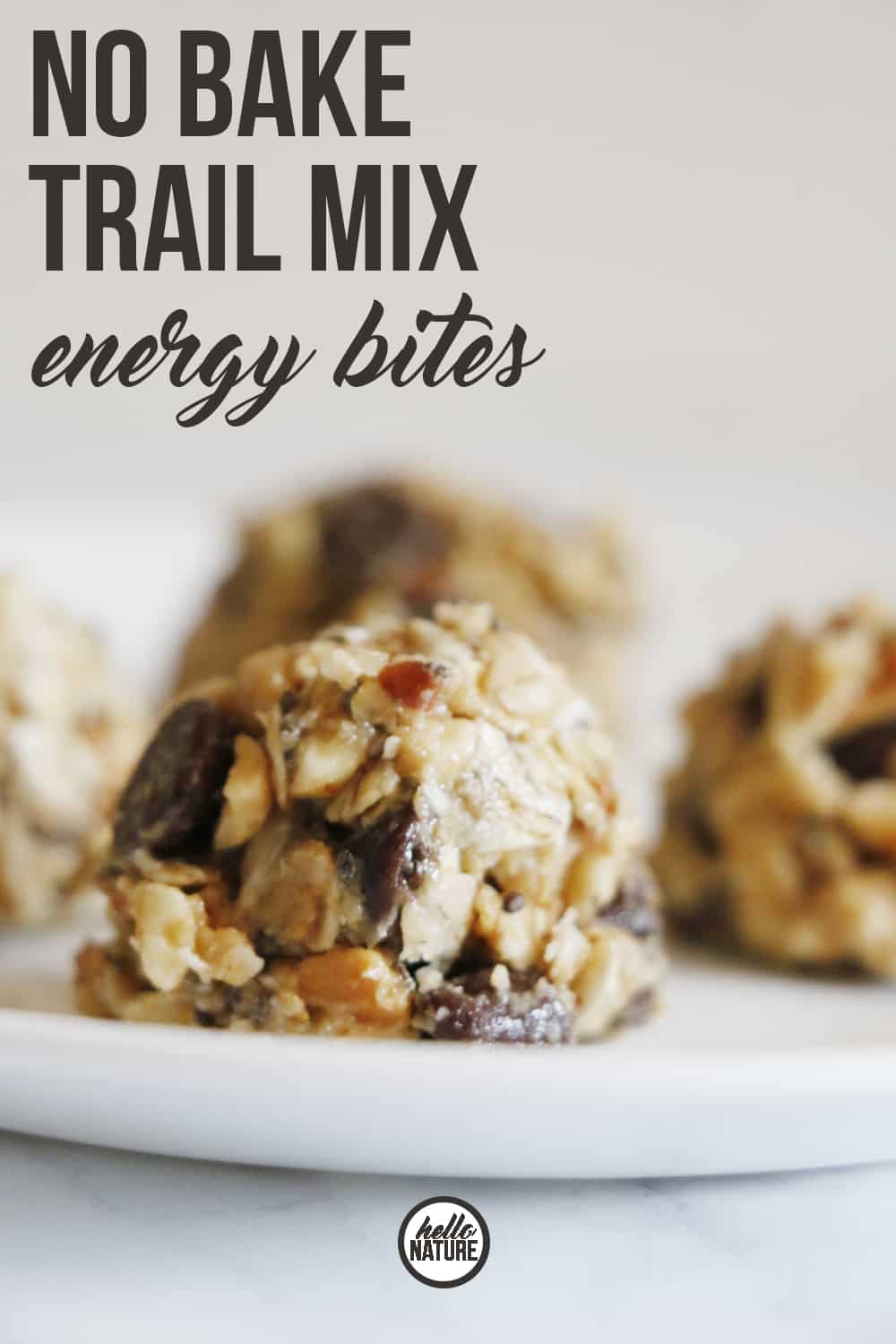 Need the perfect small snack to maintain your energy while you're on your adventures? You HAVE to try these No Bake Trail Mix Energy Bites!