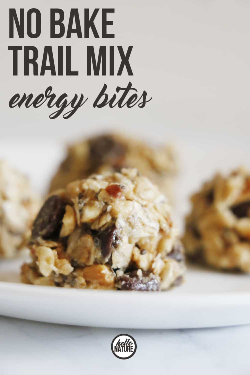 Need the perfect small snack to maintain your energy while you're on your adventures? You HAVE to try these No Bake No Bake Trail Mix Energy Bites!