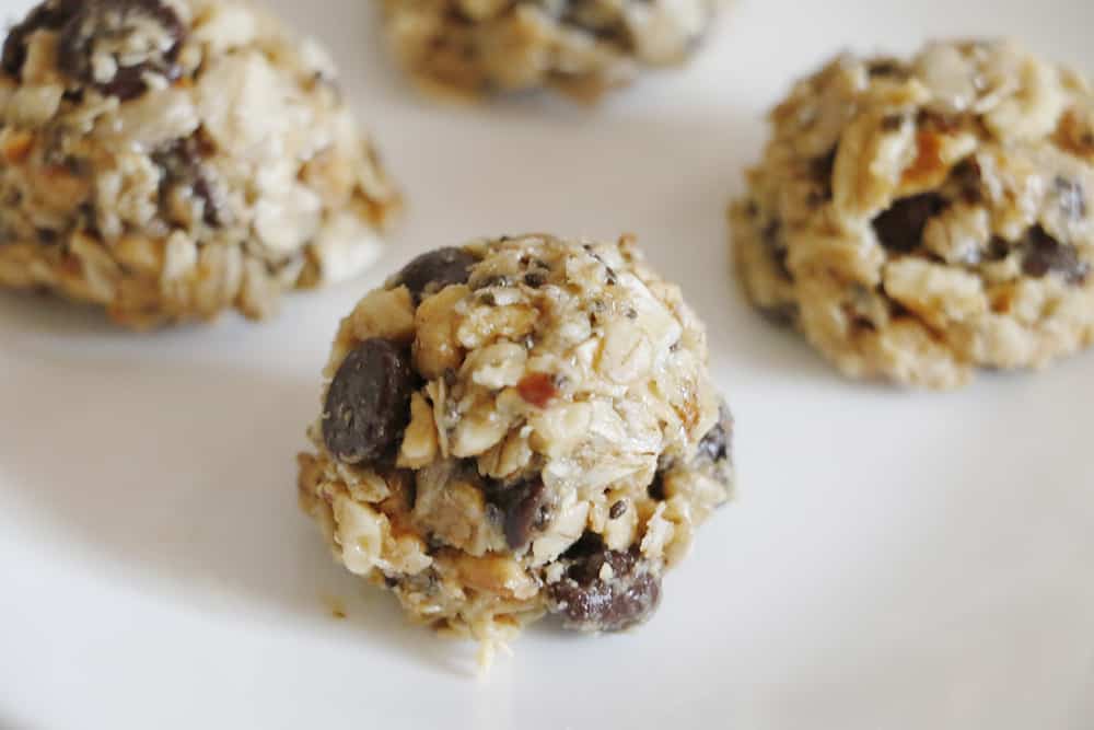 Need the perfect small snack to maintain your energy while you're on your adventures? You HAVE to try these No Bake Trail Mix Energy Bites!