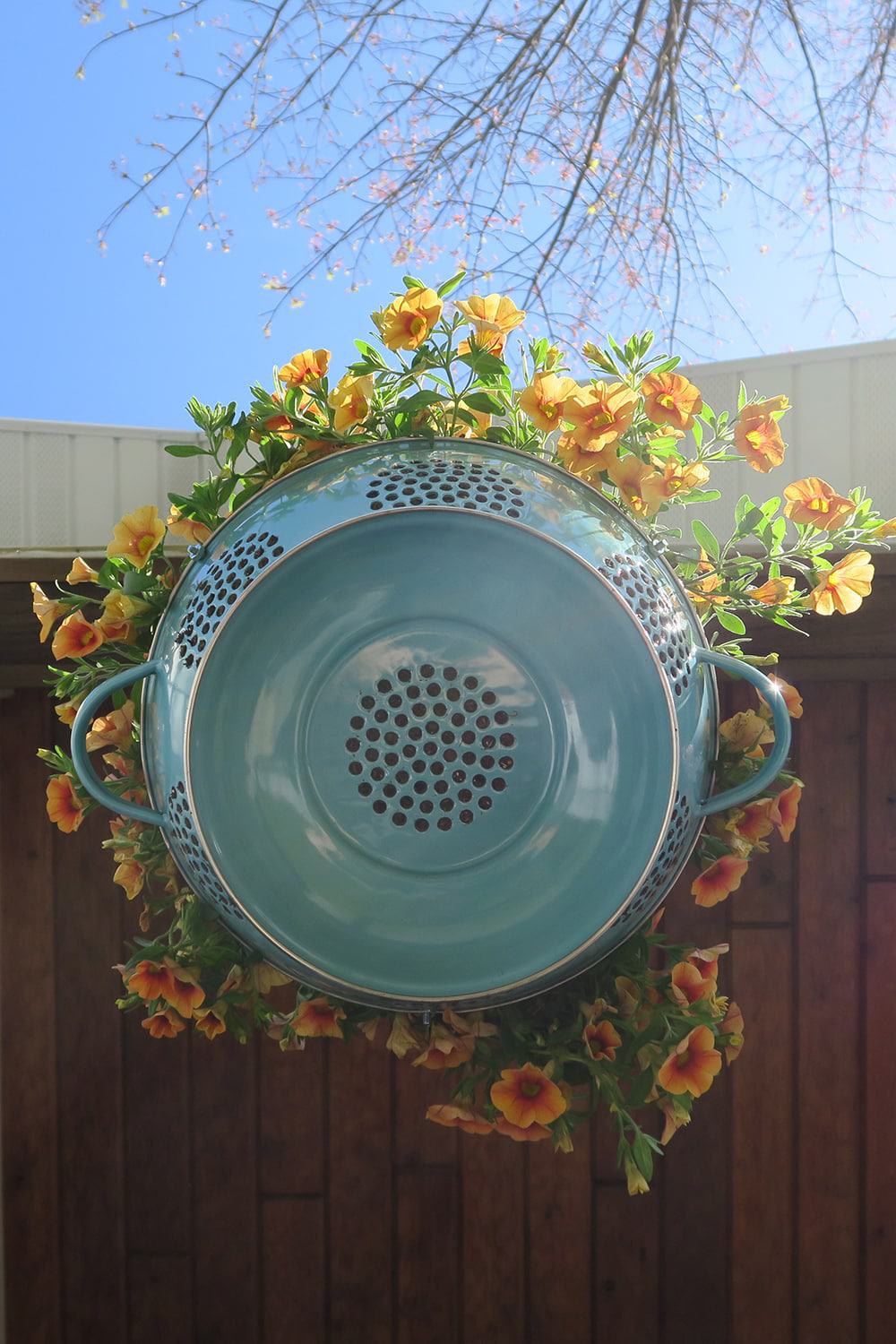 Container gardening just got more fun! With just a few supplies, you can turn a simple kitchen utensil into a unique DIY Hanging Colander Planter.
